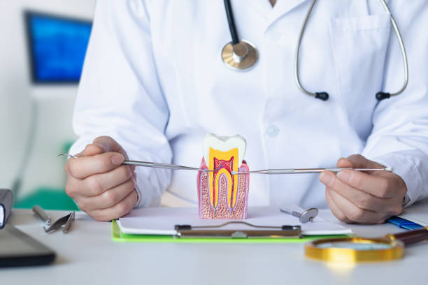 Best Broken or Chipped Tooth Repair in China Grove, TX